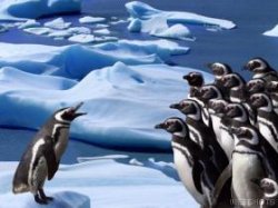 $penguinesgroup.jpg