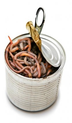 $can-of-worms.jpg