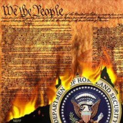$constitution burning.jpg