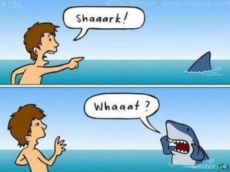$shark what.jpg