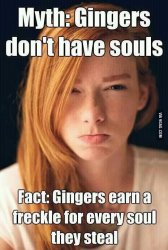 Ginger Meme.jpg