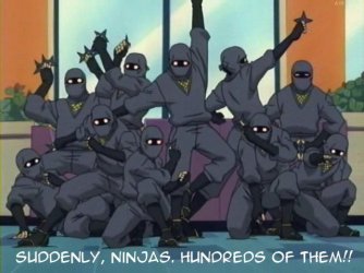 $ninjas.jpg