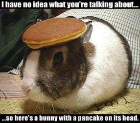 $Bunny_with_Pancake.jpg