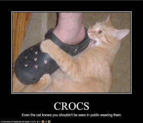 $funny-pictures-cat-hates-your-shoes.jpg