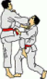 jujitsujim