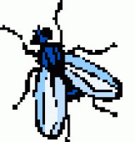 Steronius