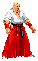 Aikidoc