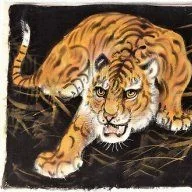 Old Happy Tiger