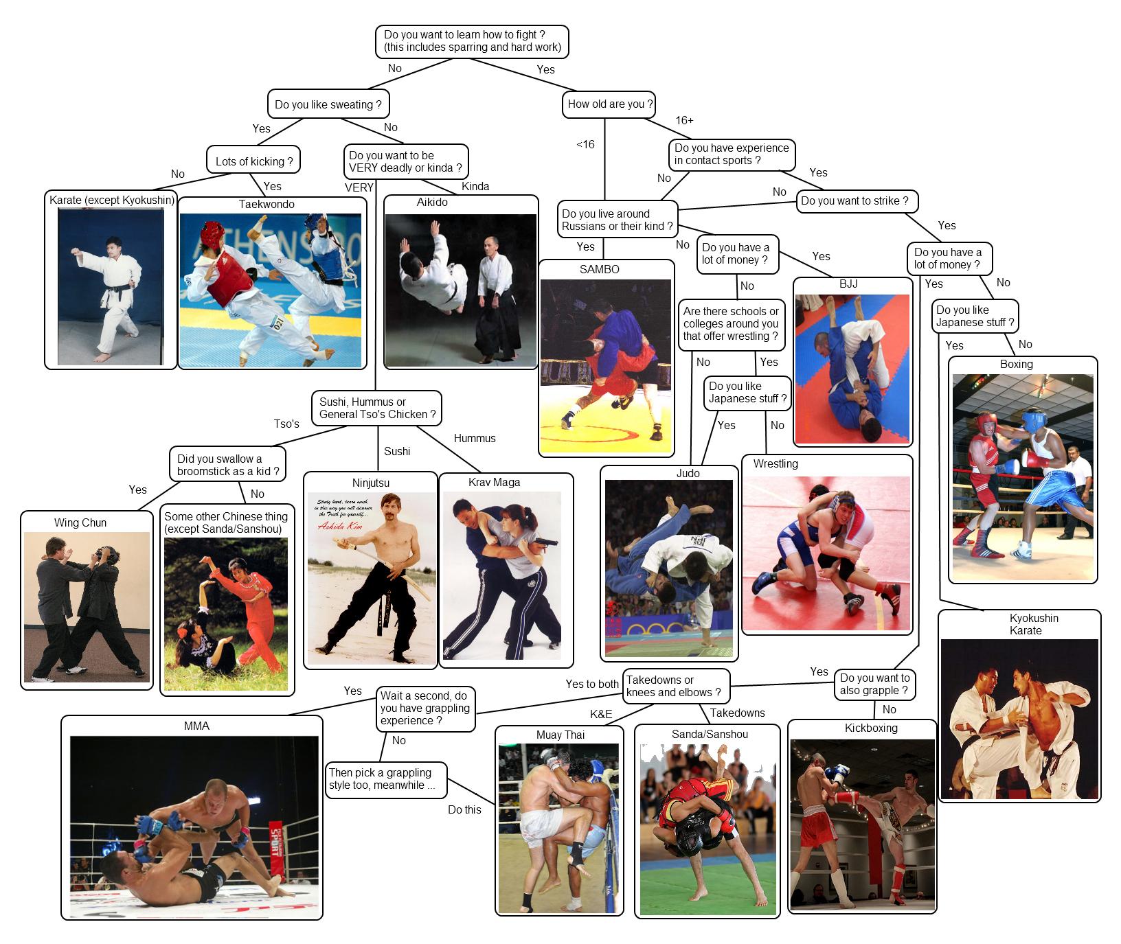 martial-art-flow-chart.jpg
