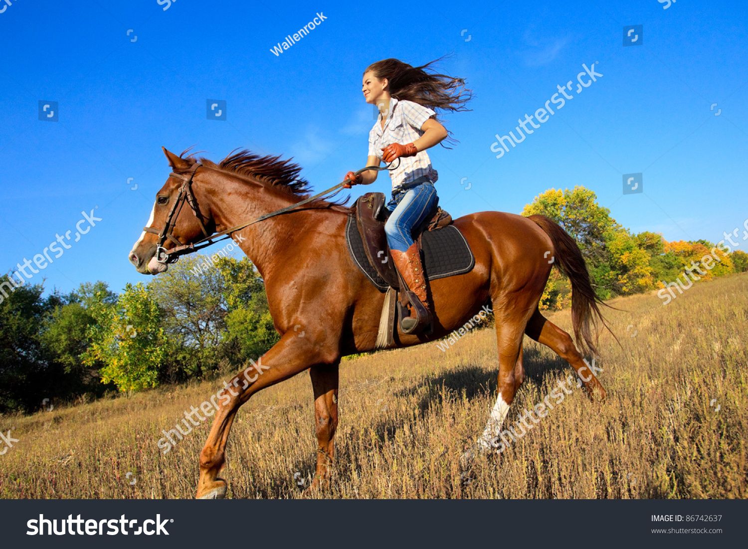 stock-photo-beautiful-girl-riding-a-horse-in-countryside-86742637.jpg