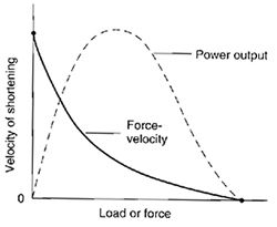 power_force_graph.jpg