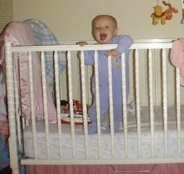 $crib3.webp