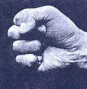 $okinawan_fist01.webp