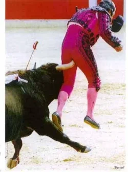 $horn.webp