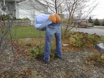 $fall.webp