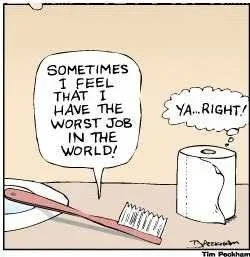 $toilet paper.webp