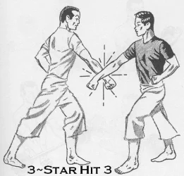 $3starhit3.webp