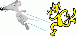 $cat-mouse-running.gif