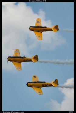 $_MG_4800.jpg