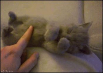 $kitty stroke.jpg
