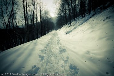$Crawford Notch 070.jpg