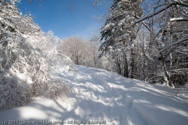 $Crawford Notch 001-raw.jpg