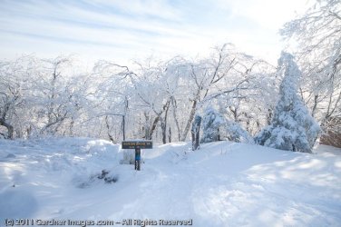 $Crawford Notch 019-raw.jpg
