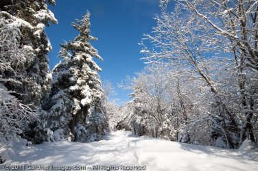 $Crawford Notch 002-raw.jpg