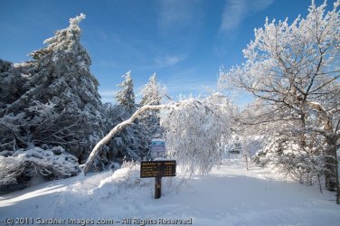 $Crawford Notch 008-raw.jpg