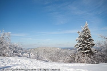 $Crawford Notch 007-raw.jpg