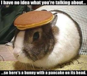 $rabbit pancake.jpg
