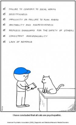 $cats psychopaths.jpg