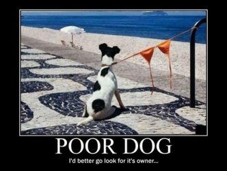 $BB Lonely Dog.jpg