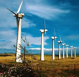 $100928kauwindmills.jpg