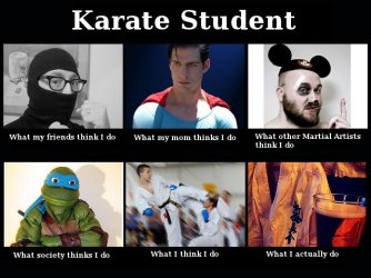 $karate_student_meme.jpg