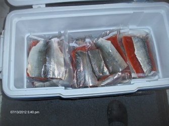 $SALMON READY FOR FREEZER.jpg