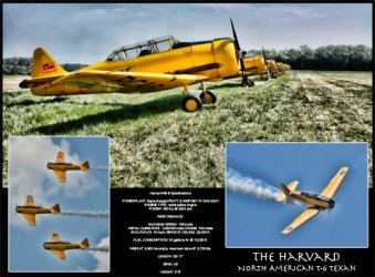 $Harvards_4490_web.jpg