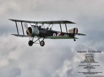 $Sopwith-Strutter_5152_web.jpg