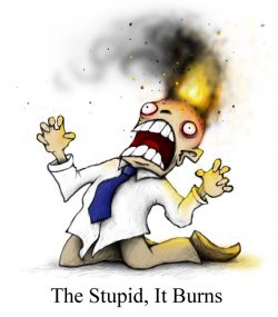 $stupid_it_burns.jpg