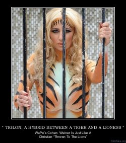 $tiglon-a-hybrid-between-a-tiger-and-a-lioness-weiner-lion-t-political-poster-1307481215.jpg