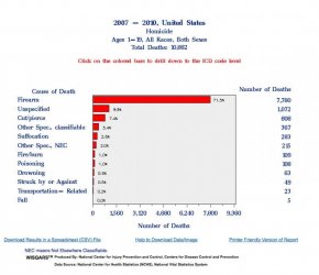 $WISQARS Details of Leading Causes of Death 2013-11-12 09-39-34.jpg