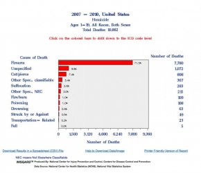 $WISQARS Details of Leading Causes of Death 2013-11-12 09-39-34.jpg