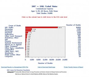 $WISQARS Details of Leading Causes of Death 2013-11-12 09-41-52.jpg
