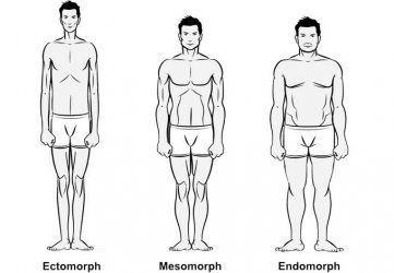 $bodytypes.jpg