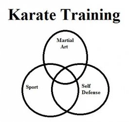 $Karate Training Venn Diagram.jpg