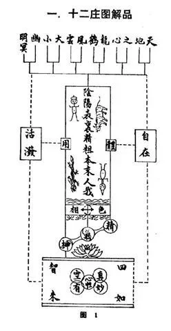 image.webp
