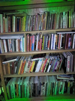 books.webp