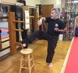 Sifu Dan SLT one leg.webp