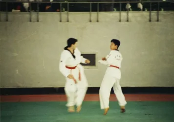 kkw 1995.webp