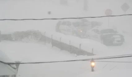 Snow5.webp